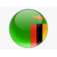 Jobs in Zambia logo - Similar company to Zamtel