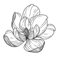 Bar Magnolia logo - Similar company to Coburn'S Exclusive