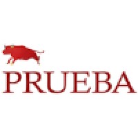 Prueba India logo - Similar company to Digitran Tech