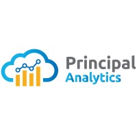 Principal Analytics logo - Similar company to Elephant Scale