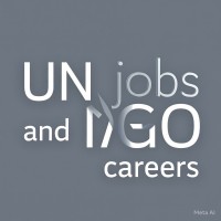 UN Jobs & NGO Careers logo - Similar company to Ahead Impact
