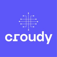 Croudy Analytics logo - Similar company to Kaptifi
