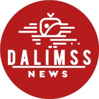 Dalimss News logo - Similar company to Digital Vimaanan
