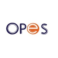 Opes solution logo - Similar company to Brainwave Optigrators Llc