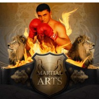 Lions Fight Martial Arts logo - Similar company to Comprido Brazilian Jiu-Jitsu
