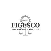 Figesco logo - Similar company to Cap Expertise
