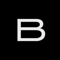 Brutal Studio logo - Similar company to Sebr Solutions