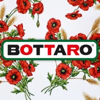 Bottaro Srl logo - Similar company to Reagency  Home Solution