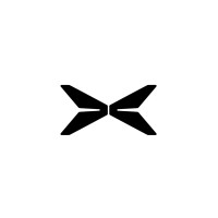 XPENG Singapore logo - Similar company to Digitell Gmbh - We Make Ai Work