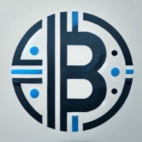 BSP Group logo - Similar company to Needyou Tecnologia Em Estágios