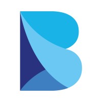 Blauwolk logo - Similar company to Twenty Solutions