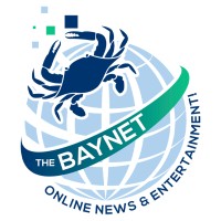 The BayNet.com logo - Similar company to Orangeorange