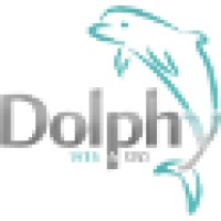Dolphy - Seo & Web Solutions