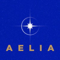 AELIASTORE logo - Similar company to 4Scale Llc