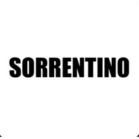 Sorrentino Studios logo - Similar company to Sorrentino