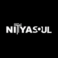 Nityasoul logo - Similar company to Assertive Industries Llp.