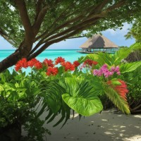 Soft Atoll logo - Similar company to Mihaaru