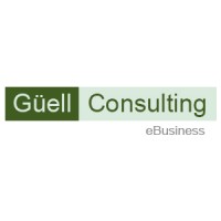 Güell Consulting Technologies logo - Similar company to Frotcom España