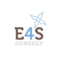 E4S Consult logo - Similar company to Only Solution