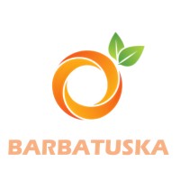 Barbatuska SAS logo - Similar company to Fitix Group