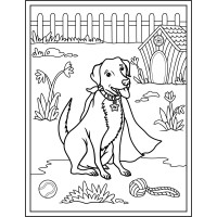 Watson Colouring Books logo - Similar company to 24/7 Digital Media - Corporate Photography & Videography