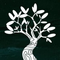 OPES Family Advisory logo - Similar company to Fidus Analytics