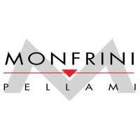 MONFRINI PELLAMI SRL logo - Similar company to Gidue Pellami