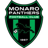 Monaro Panthers FC logo - Similar company to Group One Residential