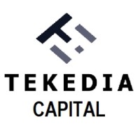 Tekedia Capital logo - Similar company to Winich Inc