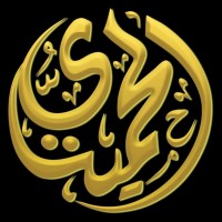 ELHAMIDY.corp logo - Similar company to Many Apps