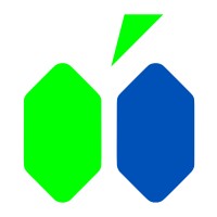 MIRAISE logo - Similar company to Vtok