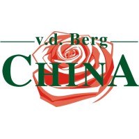 Van den Berg Roses China logo - Similar company to Holla Roses