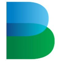 Brunstock logo - Similar company to Senapsa Gmbh