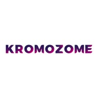 Kromozome Business Solutions logo - Similar company to Singify