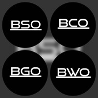Best outfits logo - Similar company to The Longevity Store®