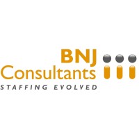 BNJ Consultants logo - Similar company to Pro1 Logistics Ltd