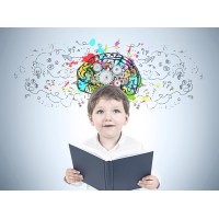 Developmental Cognitive Neuroscience Team logo - Similar company to Student Network for Neuroscience