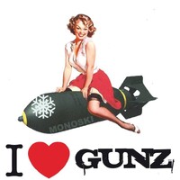Snowgunz logo - Similar company to Mudata
