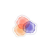 CALEIDARA logo - Similar company to Bidea