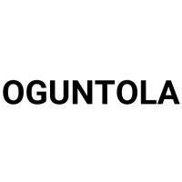 Oguntola Corp. logo - Similar company to Webthinkers