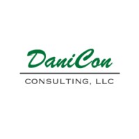 Danicon Consulting LLC logo - Similar company to N/Loyko Art School