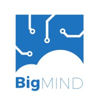 BigMIND logo - Similar company to @Max Software