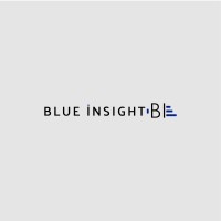 Blue Insight BI logo - Similar company to Blue Insight