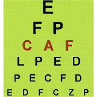 Centre d’aide en français (CAF) du Collège Montmorency logo - Similar company to Etablissement Public Départemental 