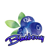 BlueBerry Foods Pvt Ltd logo - Similar company to Omura Foods