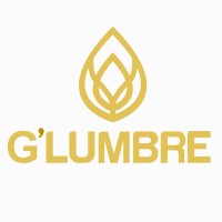 GLUMBRE SAC logo - Similar company to Flow Technology Solutions