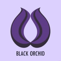 Blackorchid-Ai logo - Similar company to Revoltronx