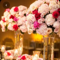 LES FLEURS D'ELEONORE logo - Similar company to De Racines À Réussites