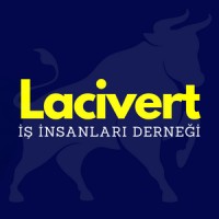 Lacivert Business People Association logo - Similar company to Metrekare Team Gayrimenkul Danışmanlığı