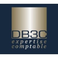 DB3C logo - Similar company to Db3C Audit